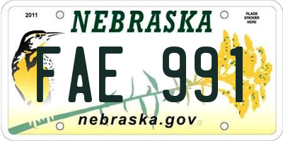 NE license plate FAE991