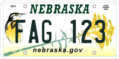 NE license plate FAG123