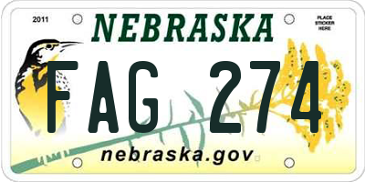 NE license plate FAG274