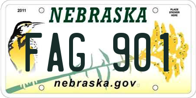 NE license plate FAG901