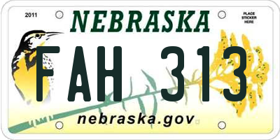 NE license plate FAH313