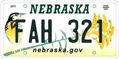NE license plate FAH321