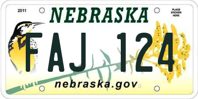 NE license plate FAJ124