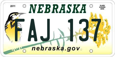 NE license plate FAJ137