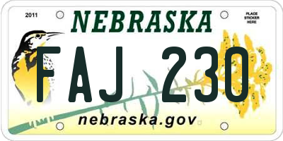 NE license plate FAJ230