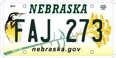 NE license plate FAJ273