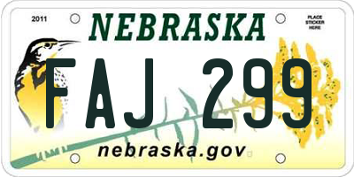 NE license plate FAJ299