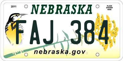 NE license plate FAJ384