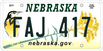 NE license plate FAJ417