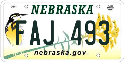 NE license plate FAJ493