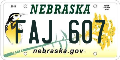 NE license plate FAJ607