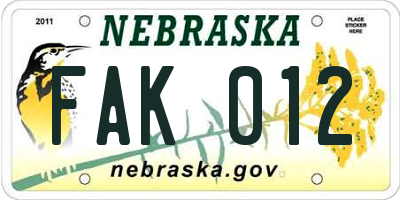 NE license plate FAK012