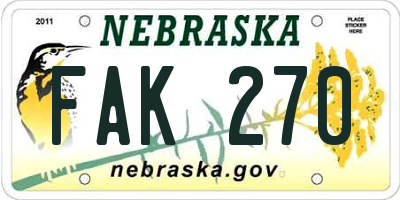 NE license plate FAK270