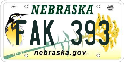 NE license plate FAK393