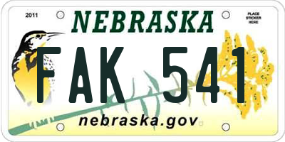 NE license plate FAK541