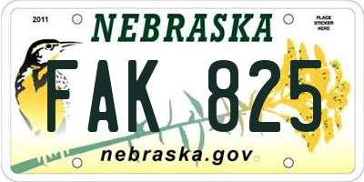 NE license plate FAK825
