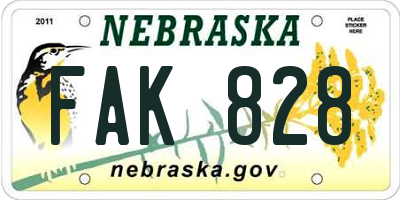 NE license plate FAK828