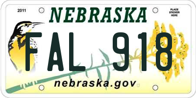 NE license plate FAL918