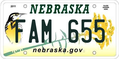 NE license plate FAM655