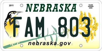 NE license plate FAM803