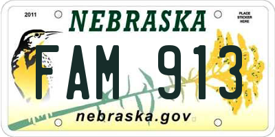 NE license plate FAM913