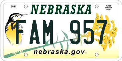 NE license plate FAM957