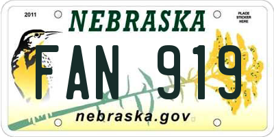 NE license plate FAN919