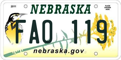 NE license plate FAO119