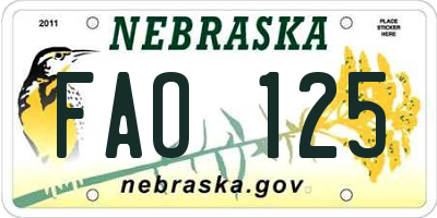 NE license plate FAO125