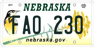 NE license plate FAO230