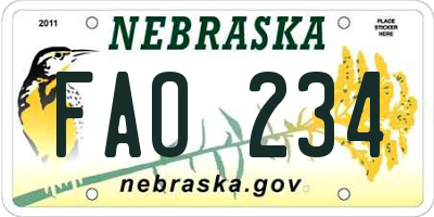 NE license plate FAO234