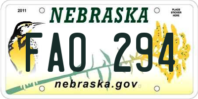 NE license plate FAO294