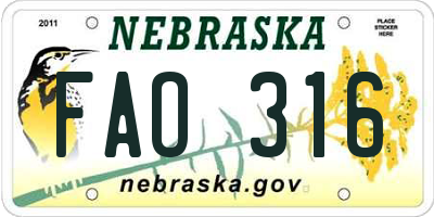 NE license plate FAO316