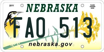 NE license plate FAO513