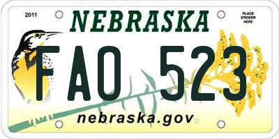 NE license plate FAO523
