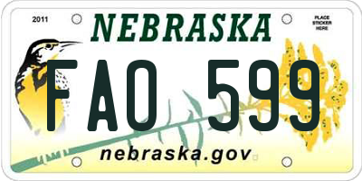 NE license plate FAO599