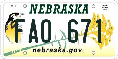 NE license plate FAO671