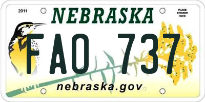 NE license plate FAO737