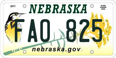 NE license plate FAO825