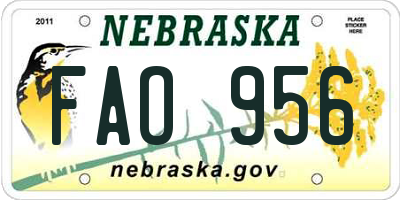NE license plate FAO956