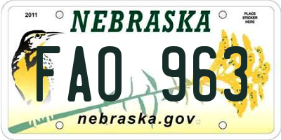 NE license plate FAO963