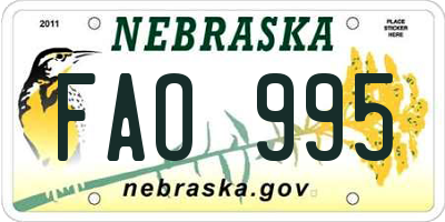 NE license plate FAO995