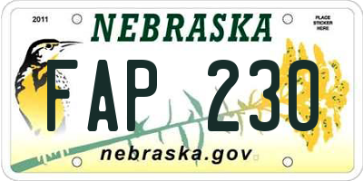 NE license plate FAP230
