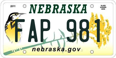 NE license plate FAP981