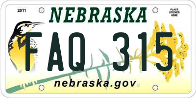 NE license plate FAQ315