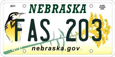 NE license plate FAS203