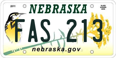 NE license plate FAS213