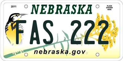 NE license plate FAS222