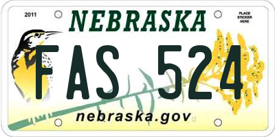 NE license plate FAS524