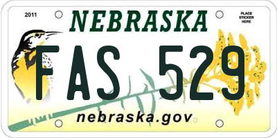 NE license plate FAS529